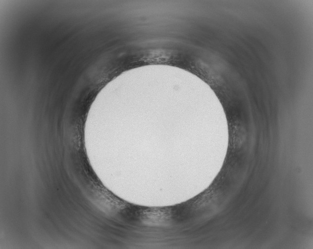 X0000082150370200702162215