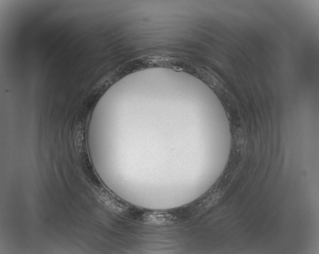 X0000082150372200702162215