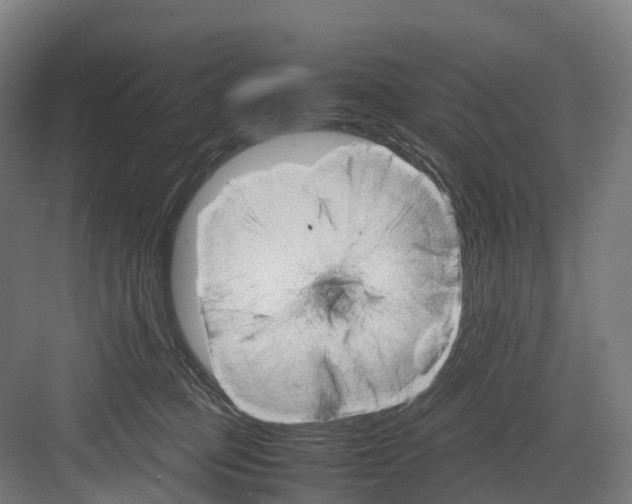 X0000082150373200702162215