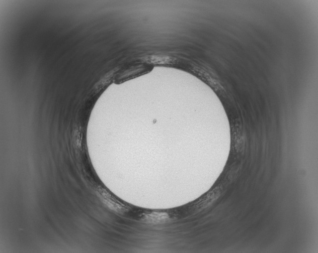 X0000082150374200702162215