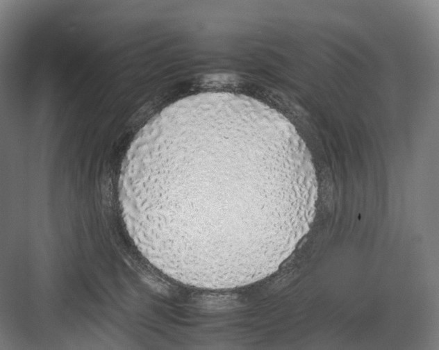 X0000082150375200702162215