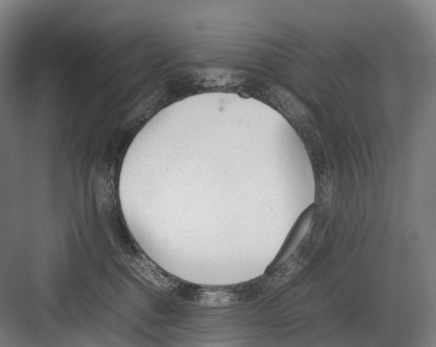 X0000082150376200702162215