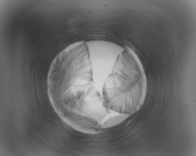 X0000082150377200702162215