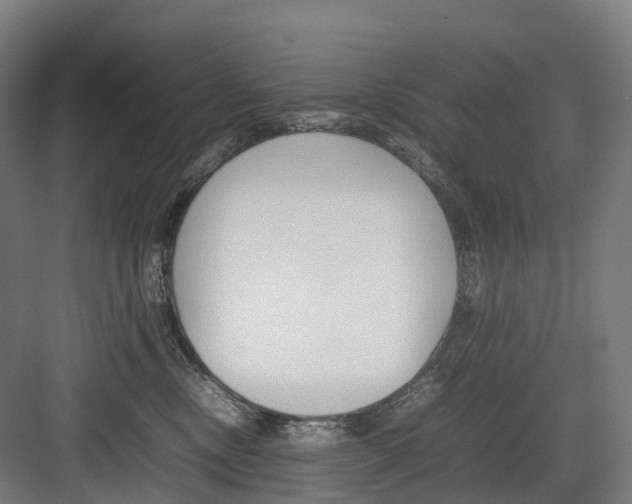 X0000082150378200702162215