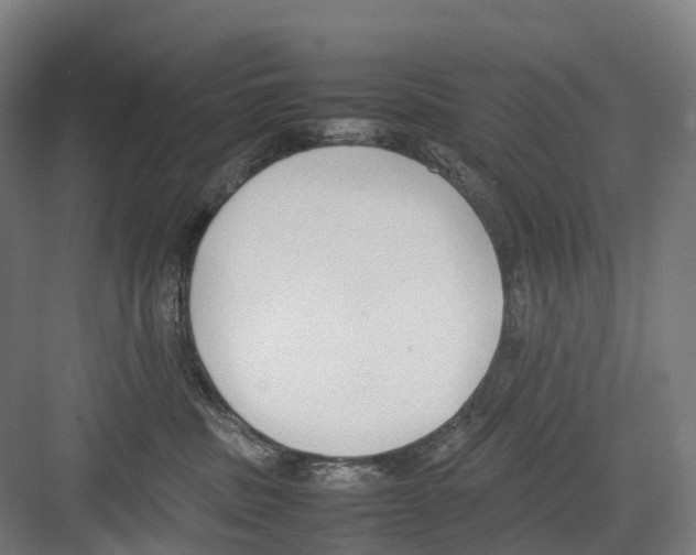 X0000082150379200702162215