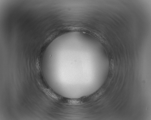 X0000082150380200702162215