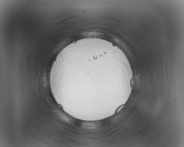 X0000082150381200702162215