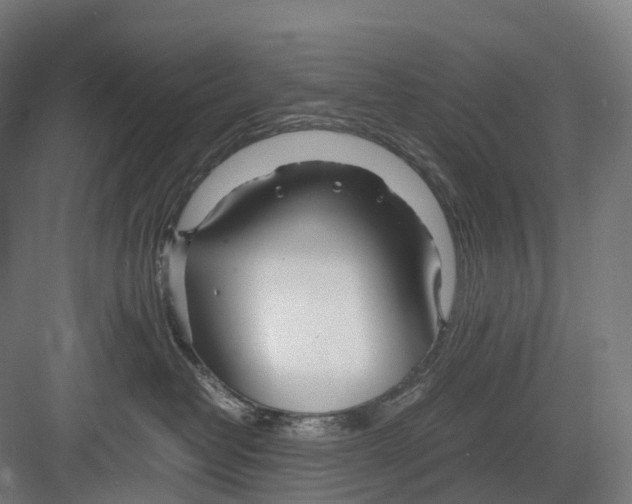 X0000082150382200702162215