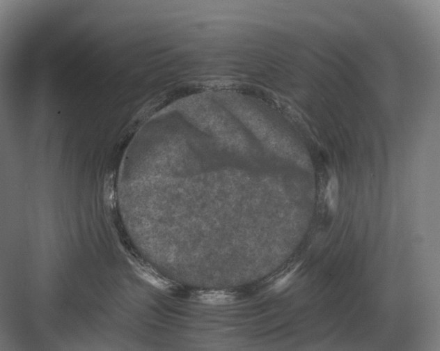 X0000082150383200702162215