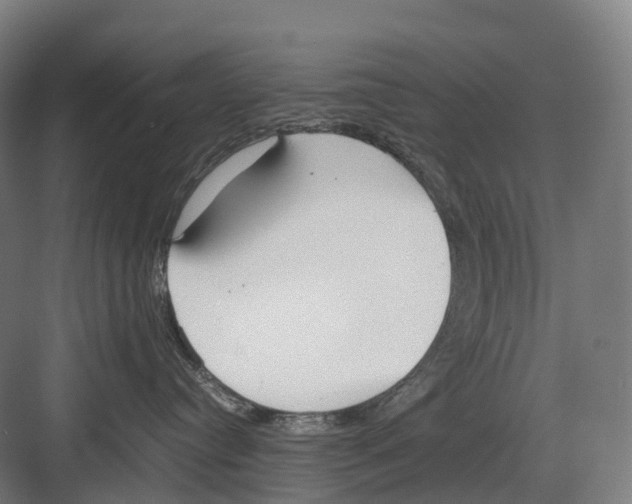 X0000082150384200702162215