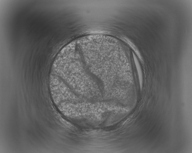 X0000082150385200702162214