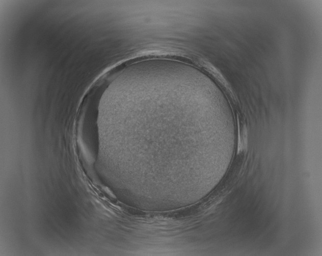 X0000082150387200702162214