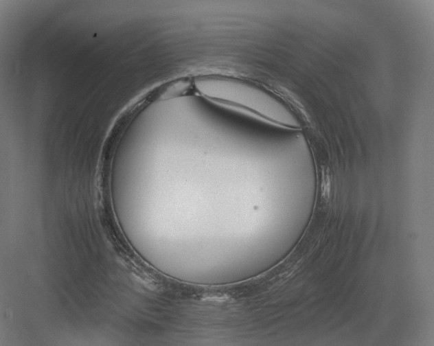 X0000082150388200702162214