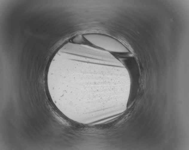 X0000082150389200702162214