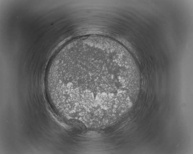 X0000082150390200702162214