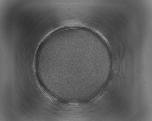 X0000082150391200702162214