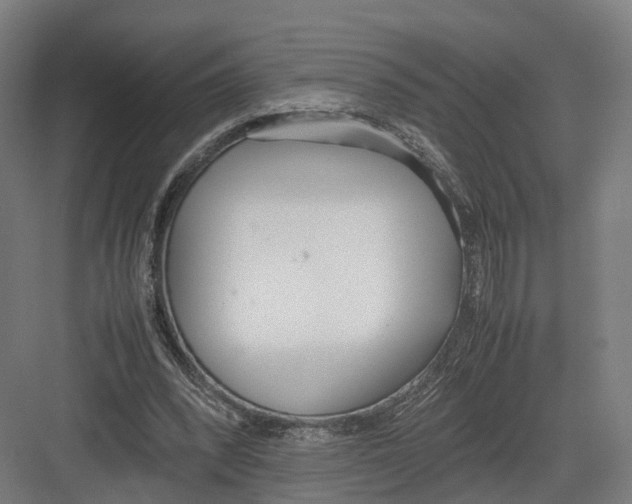 X0000082150392200702162214