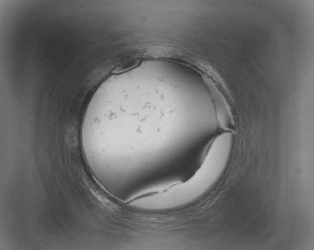 X0000082150393200702162214