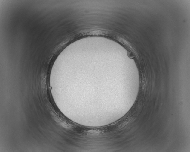 X0000082150394200702162214