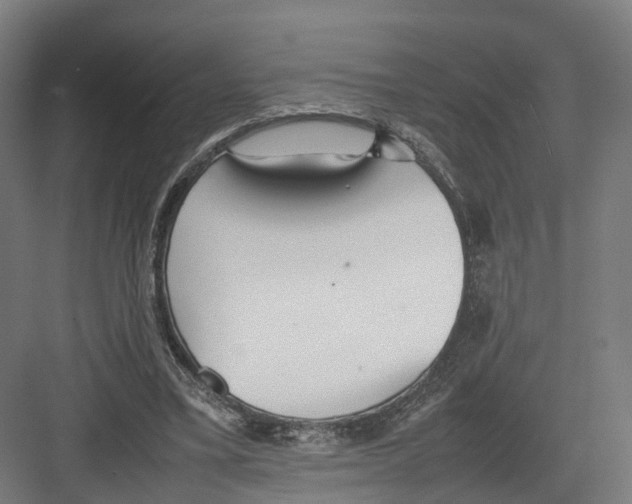 X0000082150395200702162214