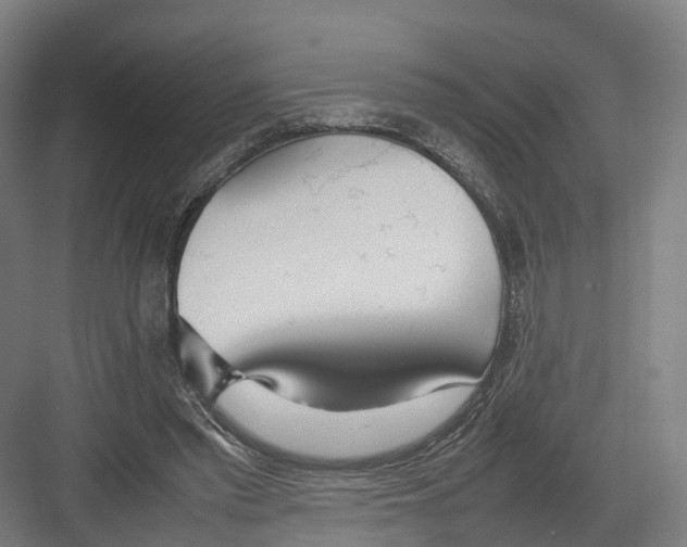 X0000082150397200702162214