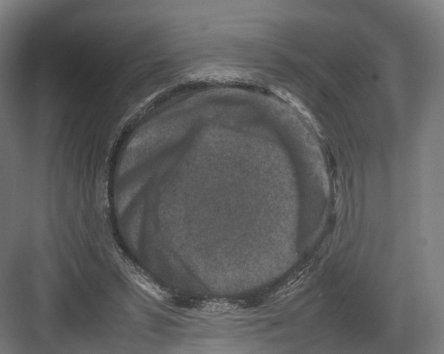 X0000082150399200702162214