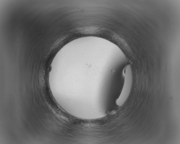 X0000082150400200702162214