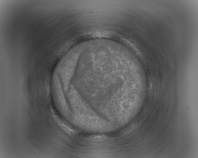 X0000082150402200702162214