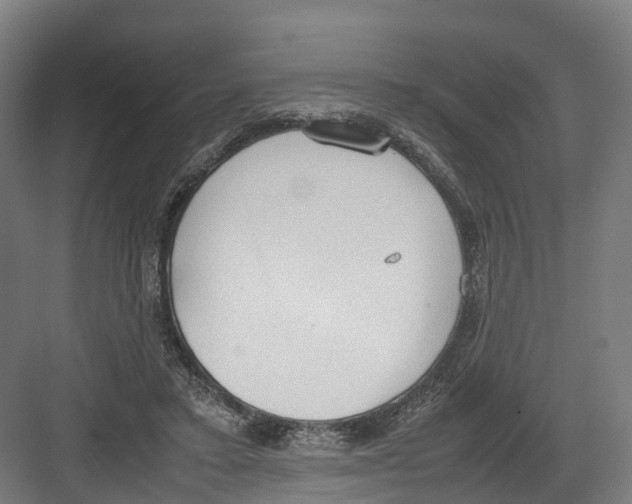 X0000082150403200702162214