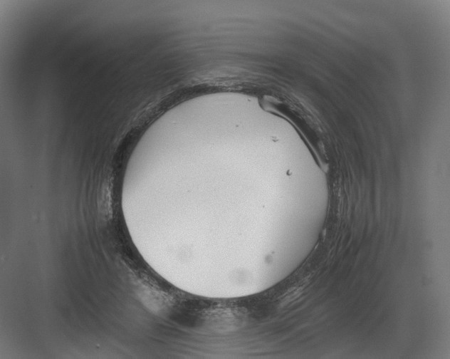 X0000082150404200702162214