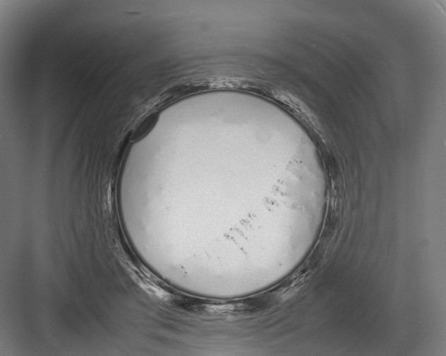 X0000082150405200702162214