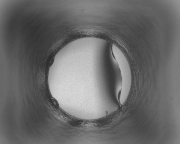 X0000082150407200702162214