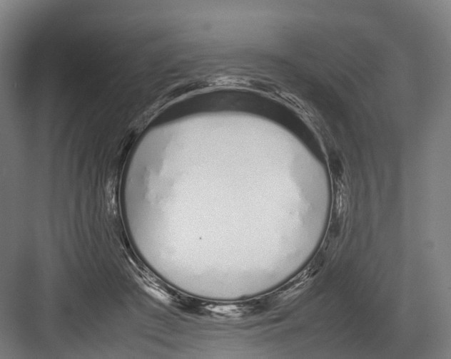 X0000082150409200702162214