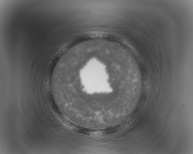 X0000082150411200702162214