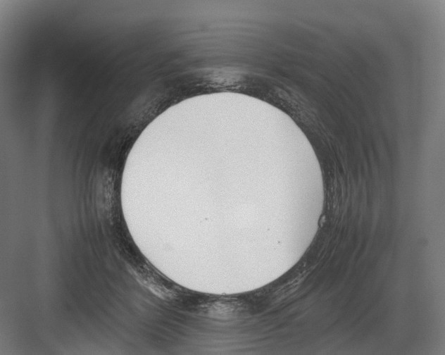 X0000082150412200702162214