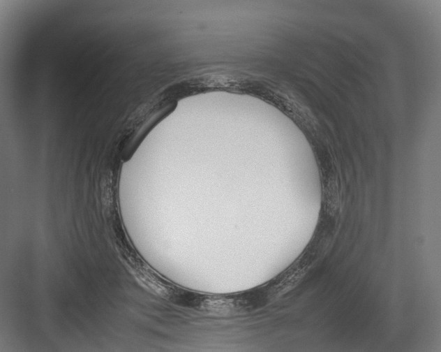 X0000082150413200702162214