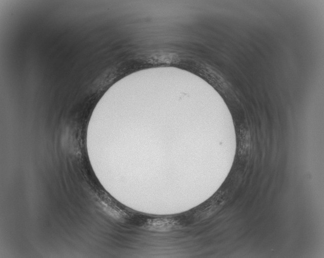 X0000082150414200702162214