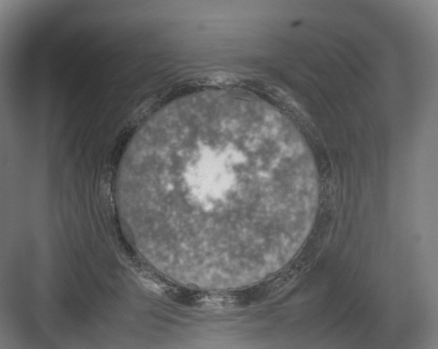 X0000082150415200702162214