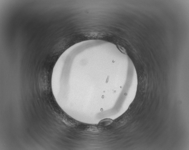 X0000082150416200702162213