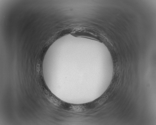 X0000082150417200702162213