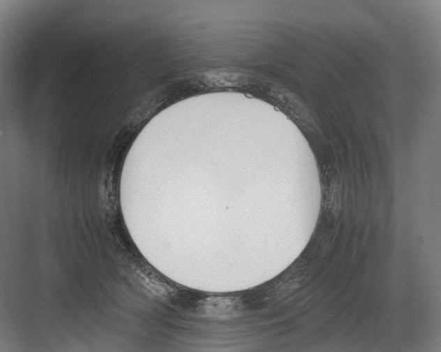 X0000082150418200702162213