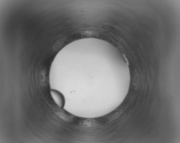 X0000082150420200702162213