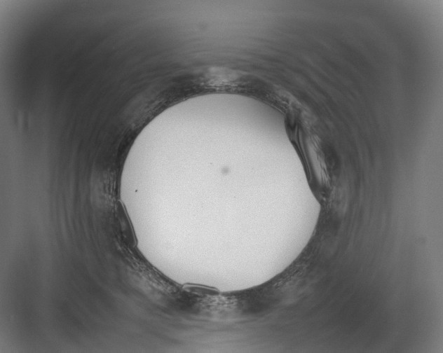 X0000082150421200702162213