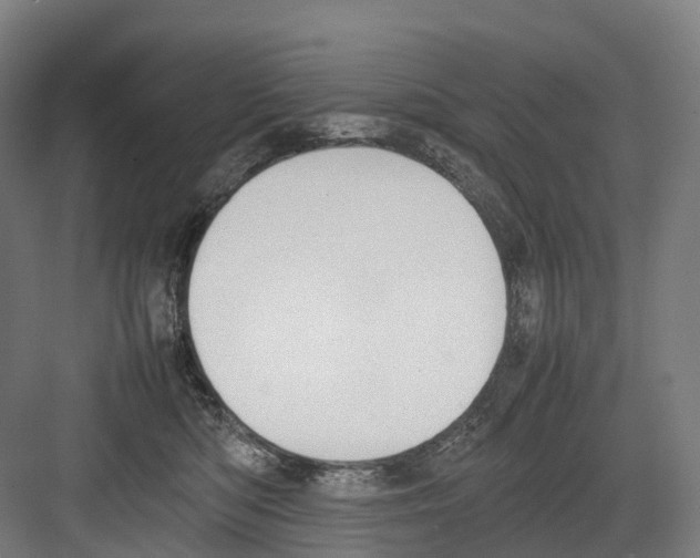 X0000082150422200702162213