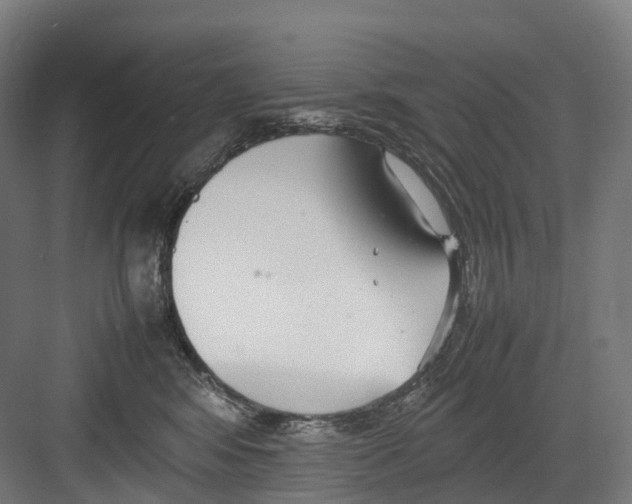 X0000082150424200702162213