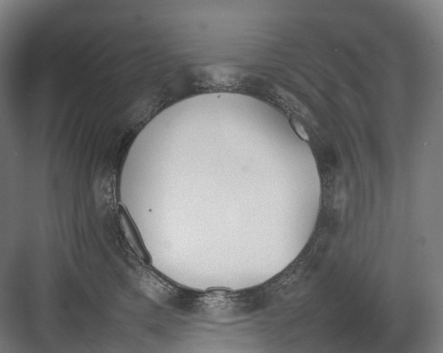 X0000082150425200702162213