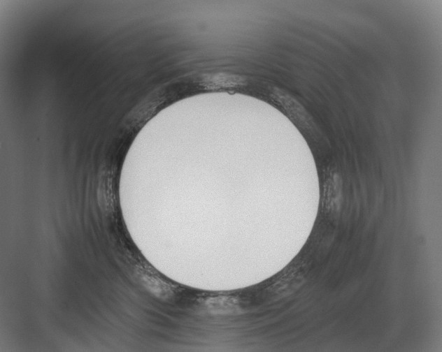 X0000082150426200702162213