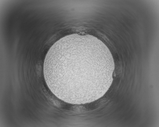 X0000082150427200702162213