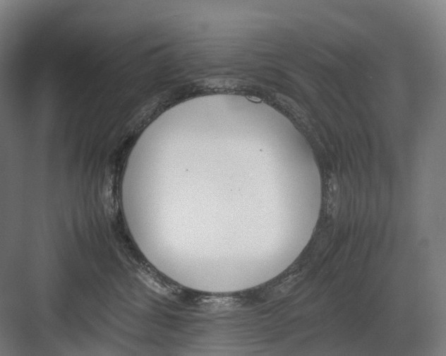 X0000082150428200702162213