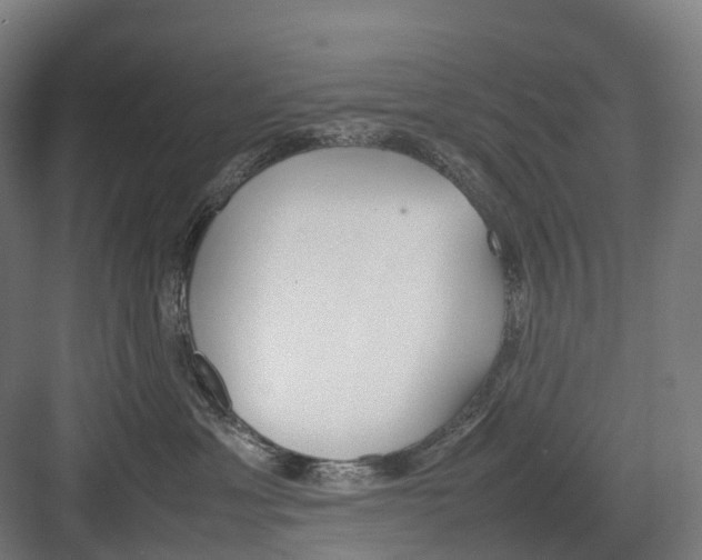 X0000082150429200702162213